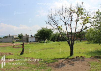 terrenos-en-venta-morelos-krp-valle-del-colibrí-09